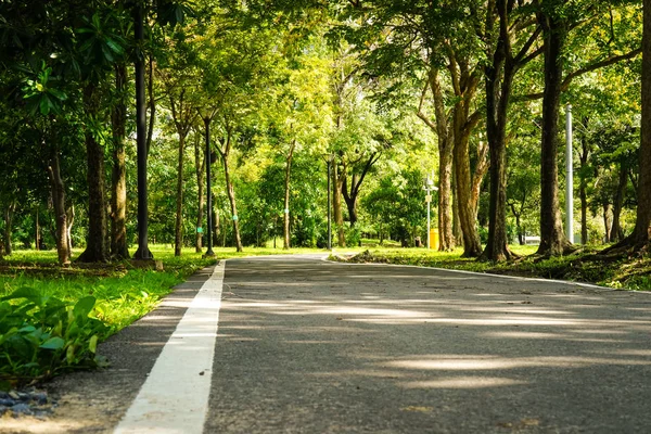 bokeh açık renkli, yaz, yeşil ağaçlı Garden doğa ile Park.