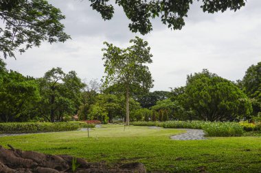 Yeşil güzel Milli Parkı ve akşam gökyüzünde