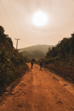 Dağlarda güneş ışığı ile yeşil yaz ormandaki Hiking trail yürüyüş yürüyüş yapan grup. seyahat spor yaşam tarzı kavramı,
