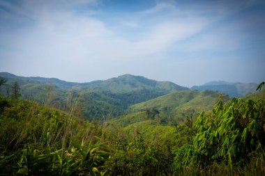 Özgürlük ya da zafer ve muhteşem bir manzara arka planda.