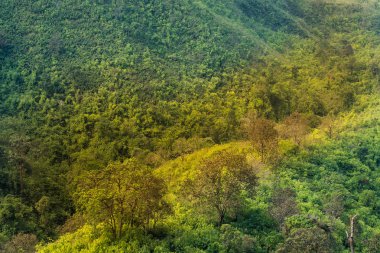Özgürlük ya da zafer ve muhteşem bir manzara arka planda.
