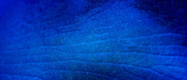 Texture Fond Floue Avec Fond Bleu Abstrait — Photo