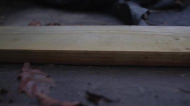 Bir parça tahta bir ormandaki bir römork üzerinde sağ soldan kaydır