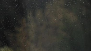Bir ağaç üfleme bir fırtına, bir pencereden looking vurdu