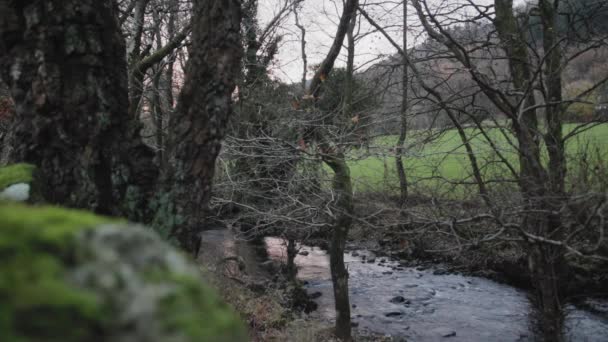 Plan statique d'une rivière qui coule dans une forêt avec le reflet d'un coucher de soleil orange 