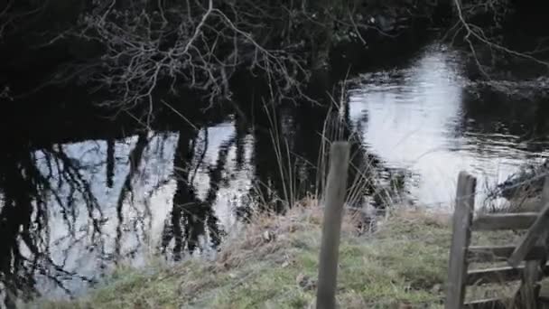 Parlak Bir Gün Boyunca Bir Ağaç Yansıtan Bir Nehir Görüntüsünü — Stok video
