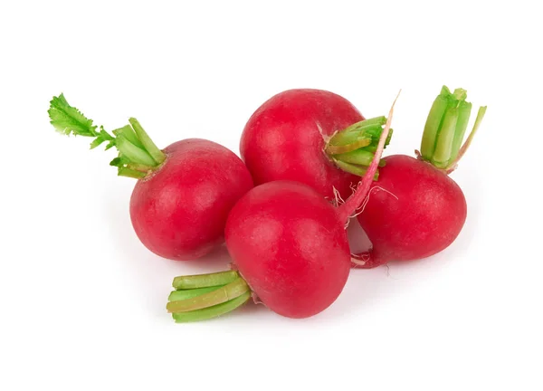 Small Garden Radish Isolated White Background — Stock Photo, Image