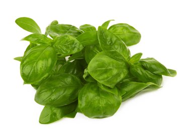 Fesleğen yaprakları beyaz arkaplanda izole