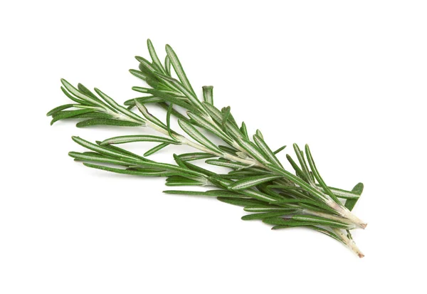 Fresh Rosemary Isolated White Background — Stock Photo, Image