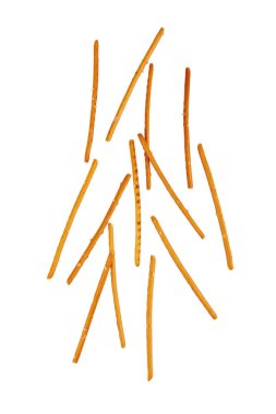 Beyaz arka planda izole edilmiş tuzlu kraker çubukları.