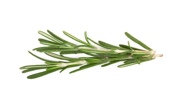 Fresh Rosemary Isolated White Background — Stock Photo, Image