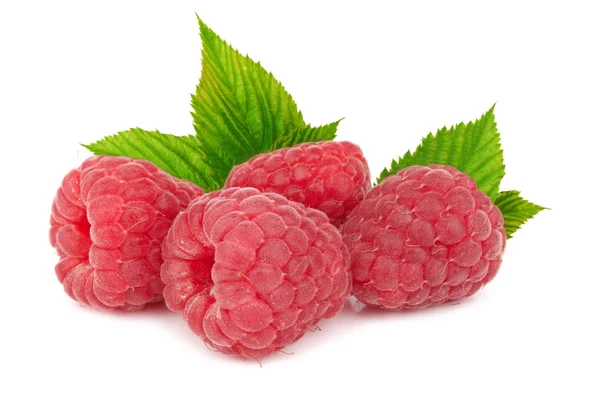 Raspberry on white — Stock Photo, Image