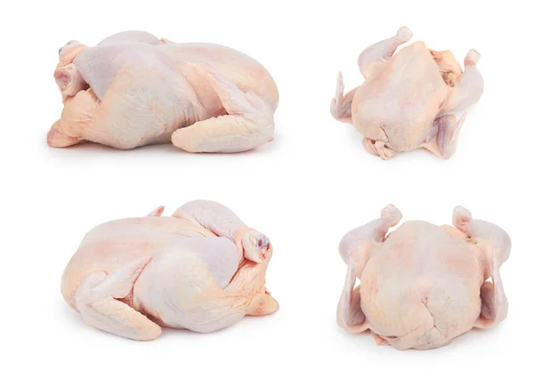 Surowego świeżego kurczaka — Zdjęcie stockowe