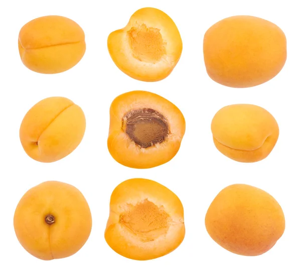 Apricots  on white — Stock Photo, Image