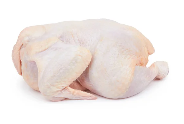 Rohes, frisches Huhn — Stockfoto