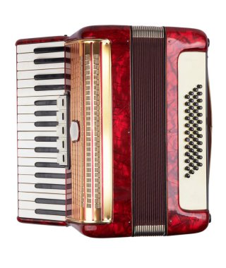 Retro akordeon izole