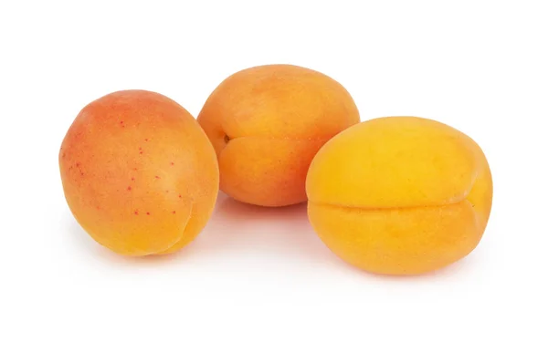 Aprikoser på vit — Stockfoto