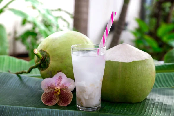 Zumo Coco Beber Agua Coco — Foto de Stock