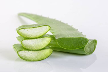 Aloe Vera taze beyaz bir arka plan üzerinde.