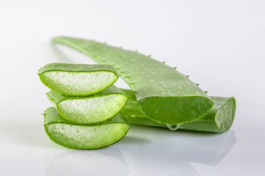 Aloe Vera taze beyaz bir arka plan üzerinde.