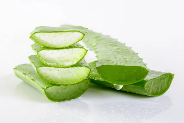 Aloe Vera taze beyaz bir arka plan üzerinde.