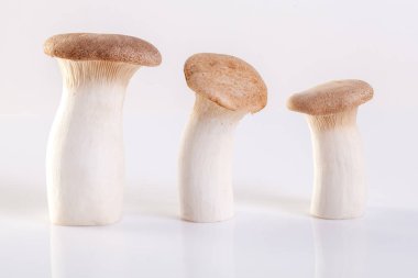 King Oyster mushroom (Eringi) on white backgroud. clipart