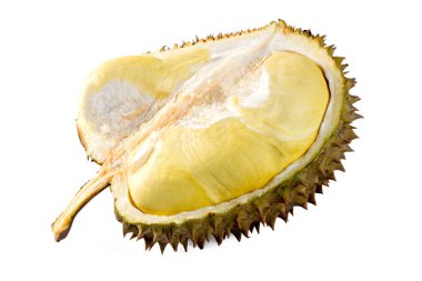 Durian beyaz arkaplanda izole edildi