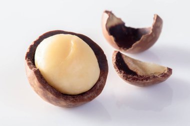 Beyaz arka planda izole edilmiş Macadamia fındıkları.