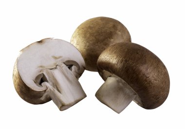 Beyaz izole kahverengi champignon taze mantar