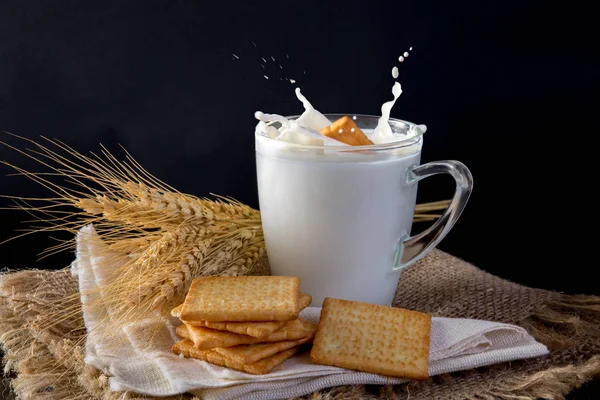 Taze süt ile kare bisküvi kraker 