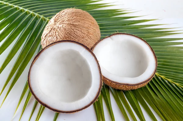 Hindistan cevizi Hindistan cevizi yaprak zemin üzerine süt ile