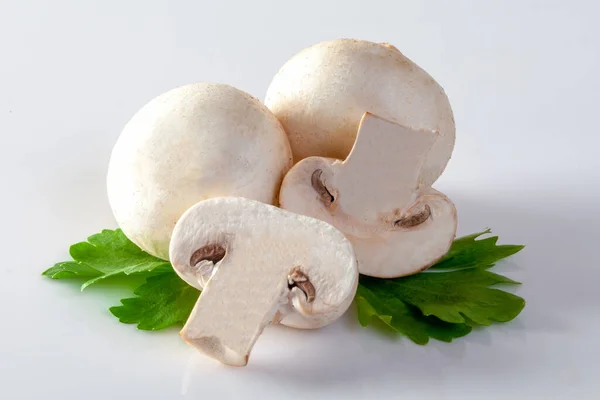 白相间的白香菇 — 图库照片