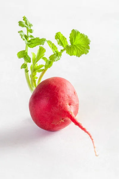 Cherry Belle Radish Απομονωμένο Λευκό Φόντο — Φωτογραφία Αρχείου