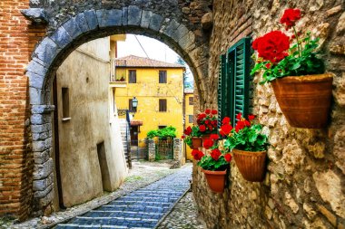 İtalyan köyü, Casperia, Rieti, Lazio çiçek dekorasyonu ile Eski sokaklar çekici güzel.