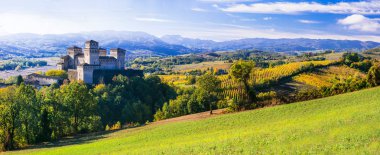 Ortaçağ kaleleri ve İtalya - Parma, Emilia Romagna bölgesindeki yakınındaki Castello di Torrechiara wineyards.