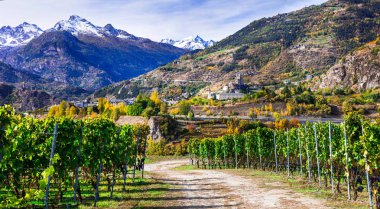 Kaleler ve Valle d'Aosta wineyards doğal Alpler Dağı.
