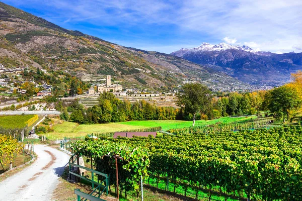 Замки Виноградники Валье Аоста Castello Reale Sarre Italy — стоковое фото