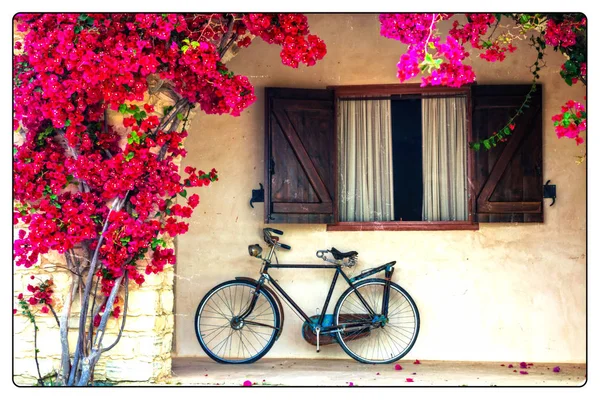 Blühender Lila Baum Und Altes Fahrrad Retro Stil — Stockfoto