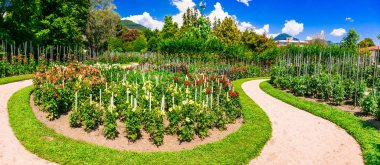 Villa Taranto güzel bahçeleri ile. Lago Maggiore, Kuzey İtalya ünlü yerler.