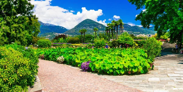 Villa Taranto Con Hermosos Jardines Lago Maggiore Norte Italia — Foto de Stock