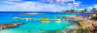 Yaz tatili Kıbrıs Adası. Protaras, incir ağacı defne, panoramik görünüm.