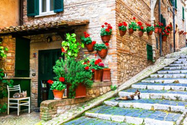Flora büyüleyici eski İtalyanca köy sokaklarında dekore edilmiştir. Casperia, Rieti il.