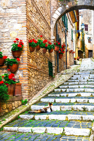 Традиционные средневековые деревни Италии - живописная старинная улица деревни Касперия, Риети, Италия
.