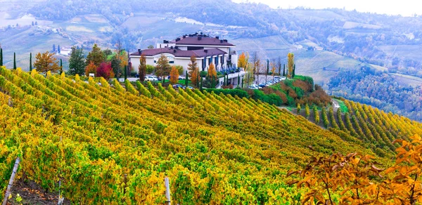 Paisagem Outono Com Lindas Vinhas Piemonte Norte Itália — Fotografia de Stock