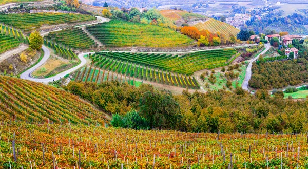 Superbes Champs Vignes Aux Couleurs Automnales Dans Région Piémont Italie — Photo