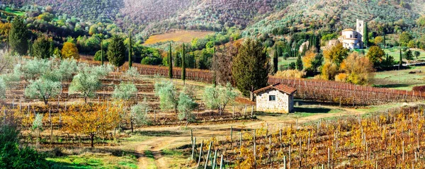 Впечатляющий Осенний Пейзаж Вид Красочными Виноградниками Тоскана Италия — стоковое фото