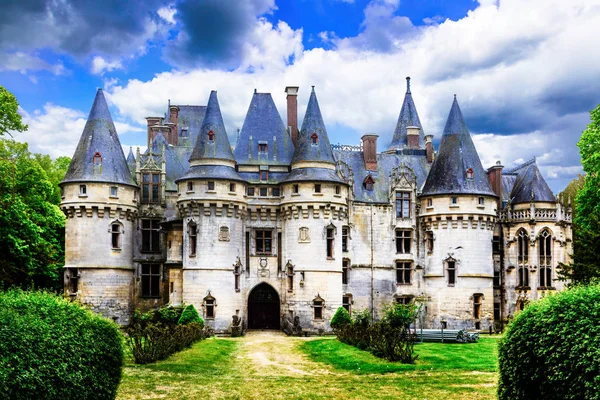 Elegáns Chateau Vigny Panorámás Franciaország — Stock Fotó