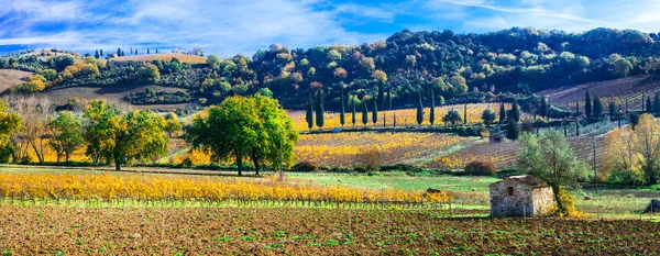 Impressive Autumn Landscape View Vineyards Chianti Tuscany Italy — стоковое фото