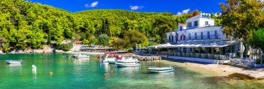 Skopelos Island - sahilde geleneksel taverna ile pitoresk balıkçı köyü Agnontas en iyisi. Sporades, Yunanistan