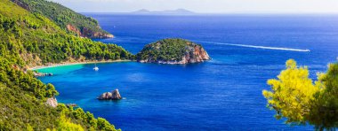 Skopelos Island - panorama güzel Stafylos Beach en iyisi. Yunanistan 